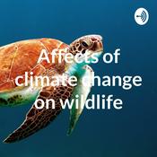 Podcast Affects of climate change on wildlife