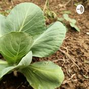 Agricoltura E News