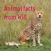 Podcast Animal facts from Will