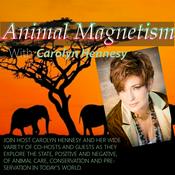 Podcast Animal Magnetism with Carolyn Hennesy