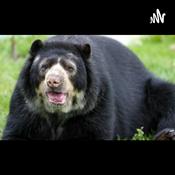 Podcast Animales en Extincion