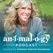 Podcast Animalogy: The Animals in Our Everyday Words & Phrases