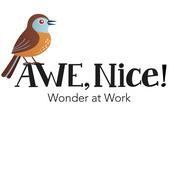 Podcast Awe, Nice!