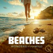 Podcast Beaches
