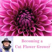 Podcast Becoming a Cut Flower Grower