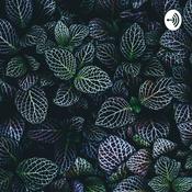 Podcast ဘဝနှင့် အောင်မြင်ရေး