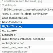 Podcast bigsofttitty.png