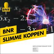 Podcast BNR Slimme Koppen | BNR