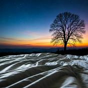 Podcast Boring Stories To Fall Asleep