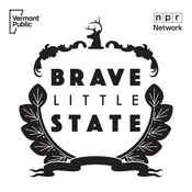 Podcast Brave Little State