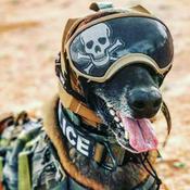 Podcast Brett's casual talk and news