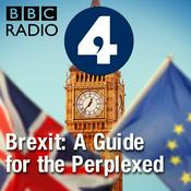 Brexit: A Guide for the Perplexed