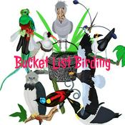 Podcast Bucket List Birding
