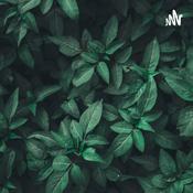 Podcast ابو عمر
