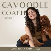 Podcast Cavoodle Coach Podcast