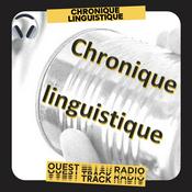 Podcast Chronique Linguistique