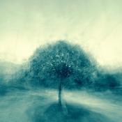 Podcast Comedy Reaktion(Deluxe) Deutsch