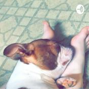 Podcast Creative Writing- Mack Brown