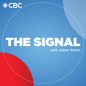 Podcast The Signal