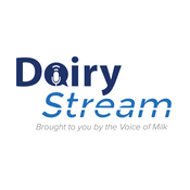 Podcast Dairy Stream