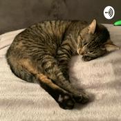 Podcast DcavSSM
