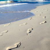 Podcast DISCIPLESHIP - Following Jesus