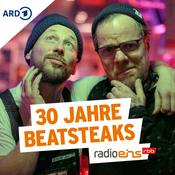 Podcast Do You Remember? - 30 Jahre Beatsteaks