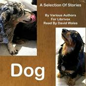 Podcast Dog: A Selection of Stories