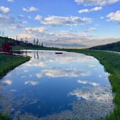 Podcast Dr. David Levy - God's Wisdom Freshly Revealed