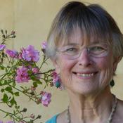 Podcast Eco Postcards