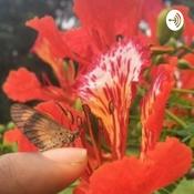 Podcast Eden Mandate