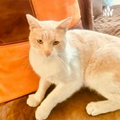 Podcast El hombre de negro