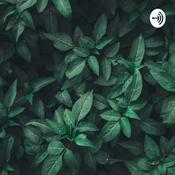 Podcast English Idioms