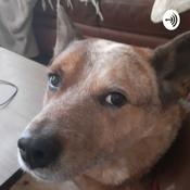 Podcast Ethan Podcast