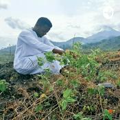 Podcast EXPOSURE IS FREEDOM