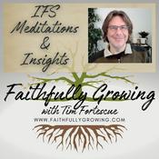 Podcast Internal Family Systems (IFS) Meditations and Insights: Faithfully Growing with Tim Fortescue