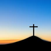 Podcast Flowers From Ashes