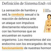 Podcast Sistema Endocrino