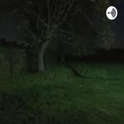Podcast Gjazz ambient garden
