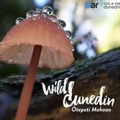 Podcast Go Wild with Wild Dunedin Festival