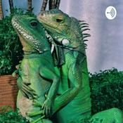 Podcast Hey how ya doin?