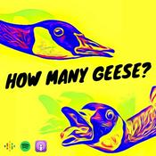 Podcast How many geese?