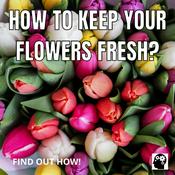 Podcast How To Keep Your Flowers Fresh?