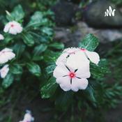 Podcast How To Wear A Skirt