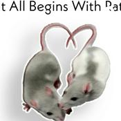 Podcast It All Begins with Rats