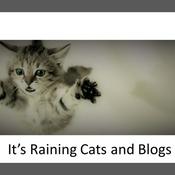 Podcast It's Raining Cats and Blogs