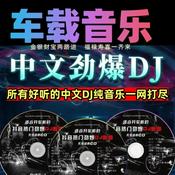 Podcast 劲爆中文DJ车载纯音乐