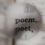 Kapiti Poets