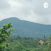 Podcast Katrin Procas