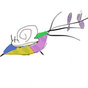 Podcast Kite snails 2.0